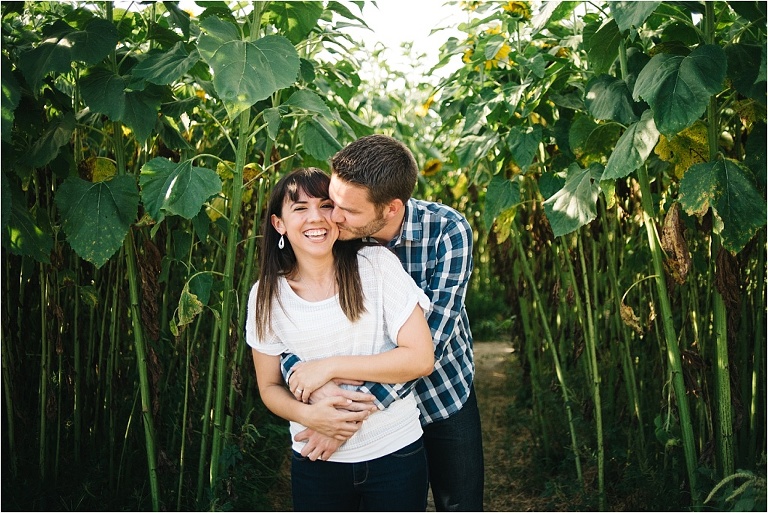 engaged couple having a cute modern engagement session in sunflower maze at sweetfields farm
