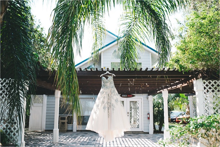 wedding dress hanging near palm tress