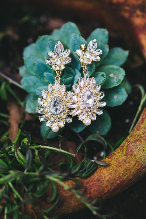 earring jewelry on succulent
