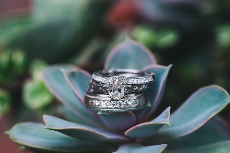 engagement ring wedding band on succulent